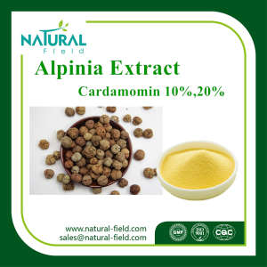 Heral Extract Alpinia Extract P. E 98% /Alpinia P. E