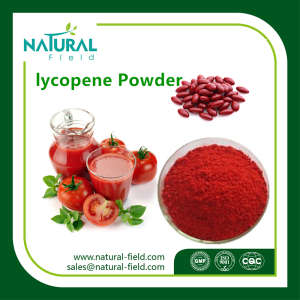 High Quality Tomato Extract CAS: 502-65-8 Lycopene 98%