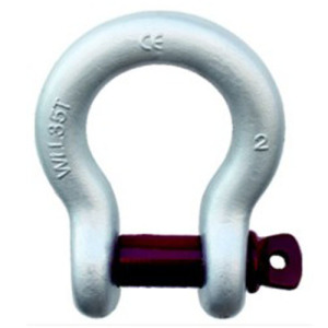 Screw Pin Anchor Shackle G209