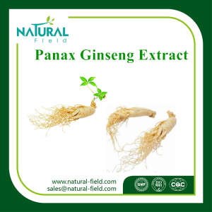 Panax Ginseng Extract Polysaccharides 10%, 50%